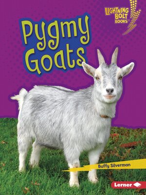 cover image of Pygmy Goats